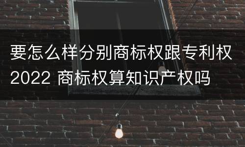要怎么样分别商标权跟专利权2022 商标权算知识产权吗