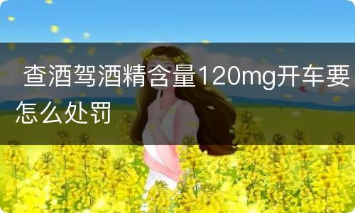  查酒驾酒精含量120mg开车要怎么处罚