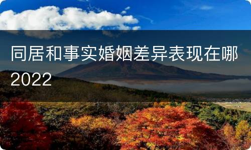 同居和事实婚姻差异表现在哪2022