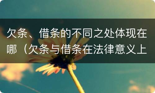 欠条、借条的不同之处体现在哪（欠条与借条在法律意义上的不同）