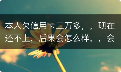 本人欠信用卡二万多，，现在还不上，后果会怎么样，，会不会坐牢