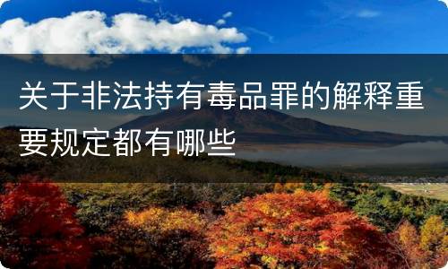 关于非法持有毒品罪的解释重要规定都有哪些