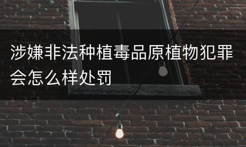 涉嫌非法种植毒品原植物犯罪会怎么样处罚