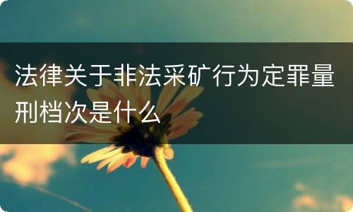 法律关于非法采矿行为定罪量刑档次是什么