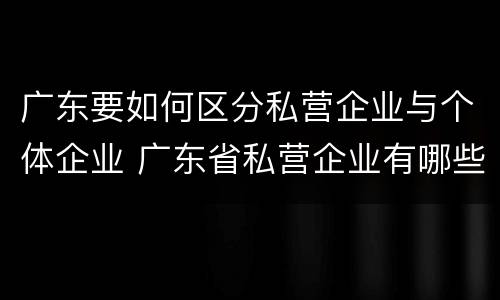 广东要如何区分私营企业与个体企业 广东省私营企业有哪些