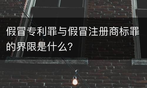 假冒专利罪与假冒注册商标罪的界限是什么？