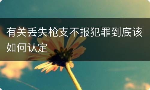 有关丢失枪支不报犯罪到底该如何认定