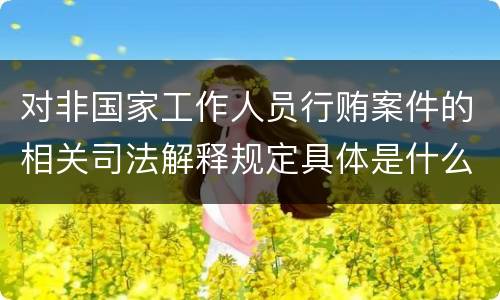 对非国家工作人员行贿案件的相关司法解释规定具体是什么