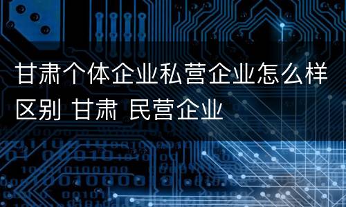甘肃个体企业私营企业怎么样区别 甘肃 民营企业