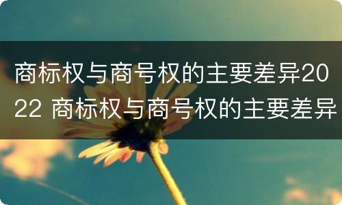 商标权与商号权的主要差异2022 商标权与商号权的主要差异2022年