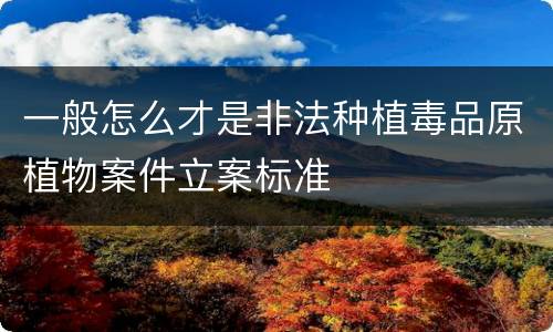 一般怎么才是非法种植毒品原植物案件立案标准