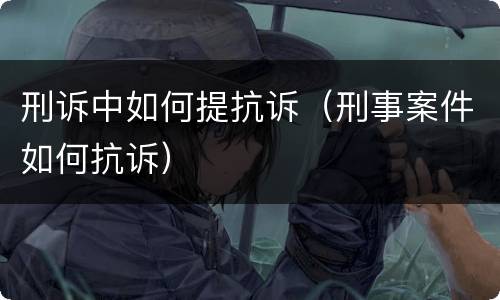 刑诉中如何提抗诉（刑事案件如何抗诉）