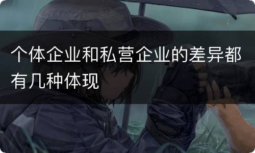 个体企业和私营企业的差异都有几种体现