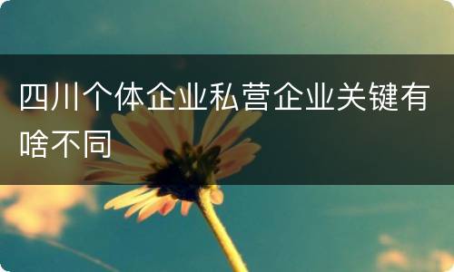 四川个体企业私营企业关键有啥不同