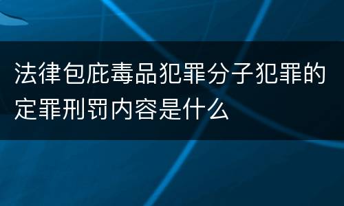 法律包庇毒品犯罪分子犯罪的定罪刑罚内容是什么