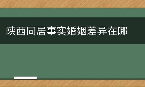 陕西同居事实婚姻差异在哪