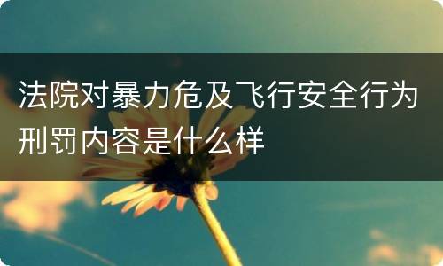 法院对暴力危及飞行安全行为刑罚内容是什么样