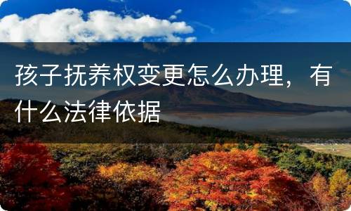 孩子抚养权变更怎么办理，有什么法律依据