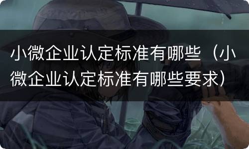 小微企业认定标准有哪些（小微企业认定标准有哪些要求）