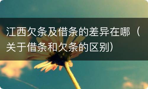 江西欠条及借条的差异在哪（关于借条和欠条的区别）