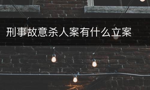 刑事故意杀人案有什么立案