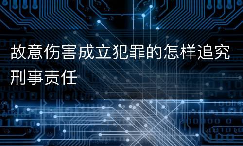 故意伤害成立犯罪的怎样追究刑事责任