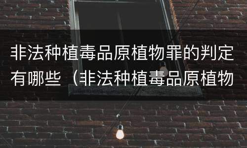 非法种植毒品原植物罪的判定有哪些（非法种植毒品原植物罪的判定有哪些条件）