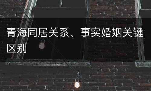 青海同居关系、事实婚姻关键区别