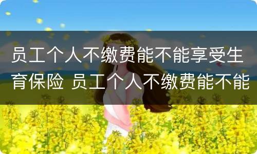 员工个人不缴费能不能享受生育保险 员工个人不缴费能不能享受生育保险待遇