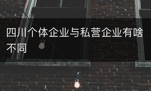 四川个体企业与私营企业有啥不同