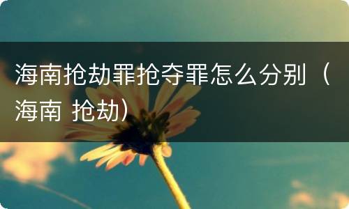 海南抢劫罪抢夺罪怎么分别（海南 抢劫）