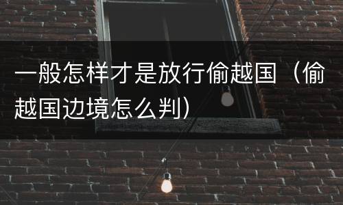 一般怎样才是放行偷越国（偷越国边境怎么判）