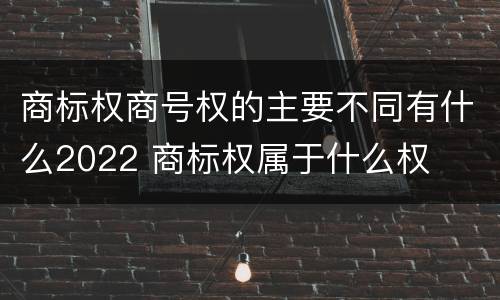 商标权商号权的主要不同有什么2022 商标权属于什么权