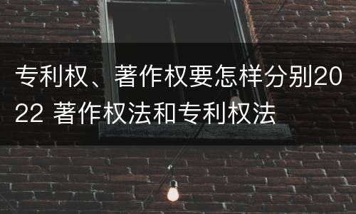 专利权、著作权要怎样分别2022 著作权法和专利权法