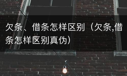欠条、借条怎样区别（欠条,借条怎样区别真伪）