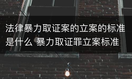 法律暴力取证案的立案的标准是什么 暴力取证罪立案标准