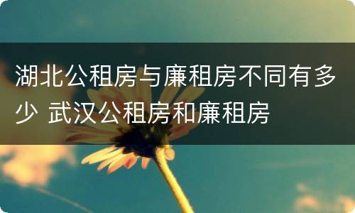 湖北公租房与廉租房不同有多少 武汉公租房和廉租房