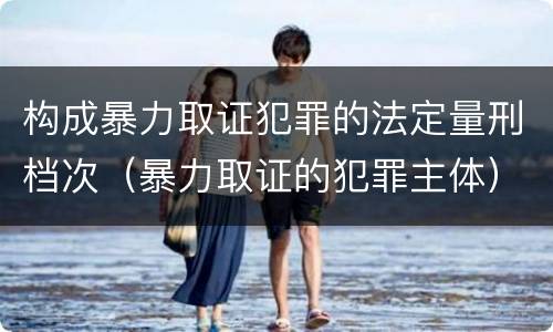 构成暴力取证犯罪的法定量刑档次（暴力取证的犯罪主体）