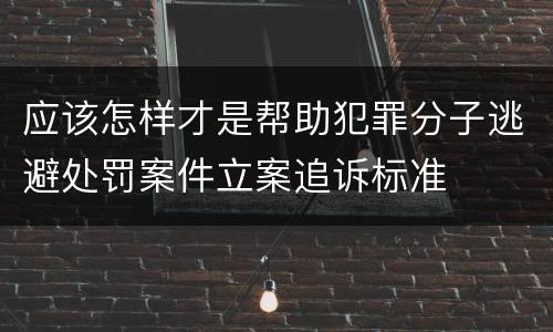 应该怎样才是帮助犯罪分子逃避处罚案件立案追诉标准