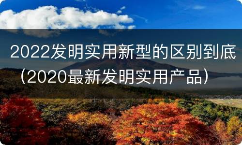 2022发明实用新型的区别到底（2020最新发明实用产品）