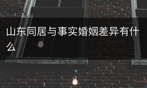 山东同居与事实婚姻差异有什么