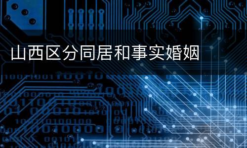 山西区分同居和事实婚姻