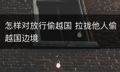 怎样对放行偷越国 拉拢他人偷越国边境