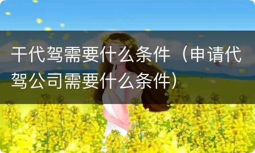 干代驾需要什么条件（申请代驾公司需要什么条件）