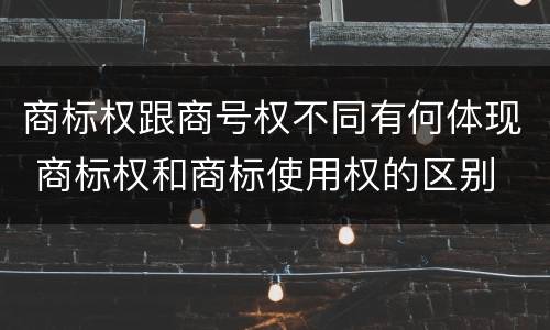 商标权跟商号权不同有何体现 商标权和商标使用权的区别
