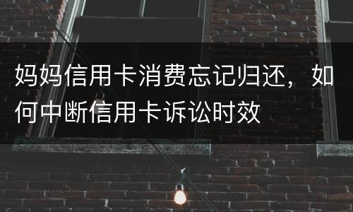 妈妈信用卡消费忘记归还，如何中断信用卡诉讼时效