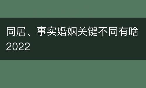 同居、事实婚姻关键不同有啥2022
