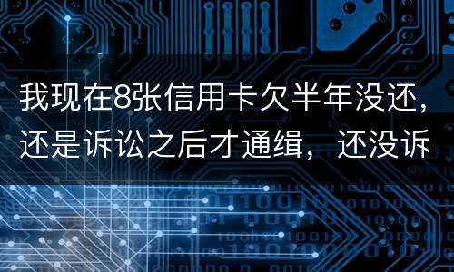 我现在8张信用卡欠半年没还，还是诉讼之后才通缉，还没诉讼
