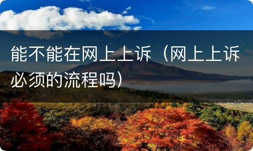 能不能在网上上诉（网上上诉必须的流程吗）