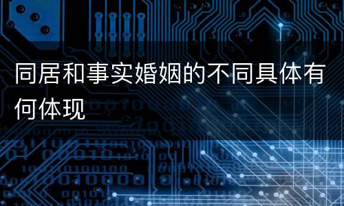 同居和事实婚姻的不同具体有何体现